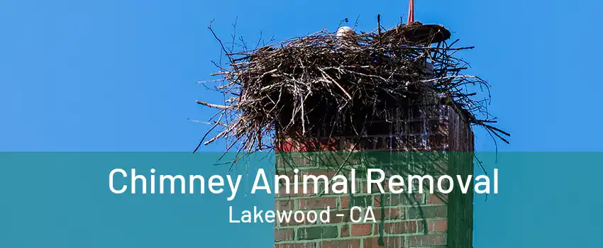 Chimney Animal Removal Lakewood - CA