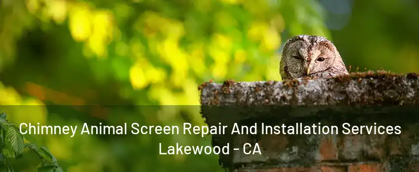 Chimney Animal Screen Repair And Installation Services Lakewood - CA