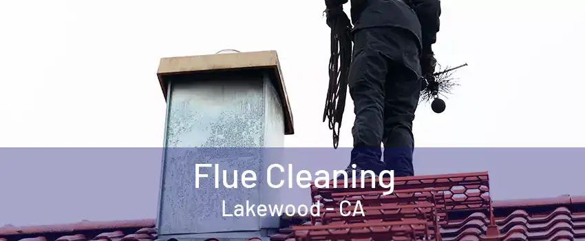 Flue Cleaning Lakewood - CA