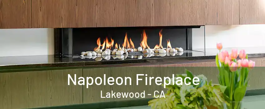 Napoleon Fireplace Lakewood - CA